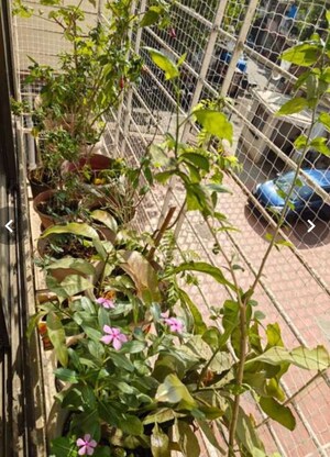 1 BHK Apartment – Map Location View at Shraddha Avenue, Goregaon West - for Sale