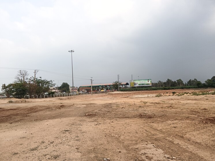 Garden, shadnagar  500 Sq.Yd. Plot In Shadnagar Hyderabad 8456127