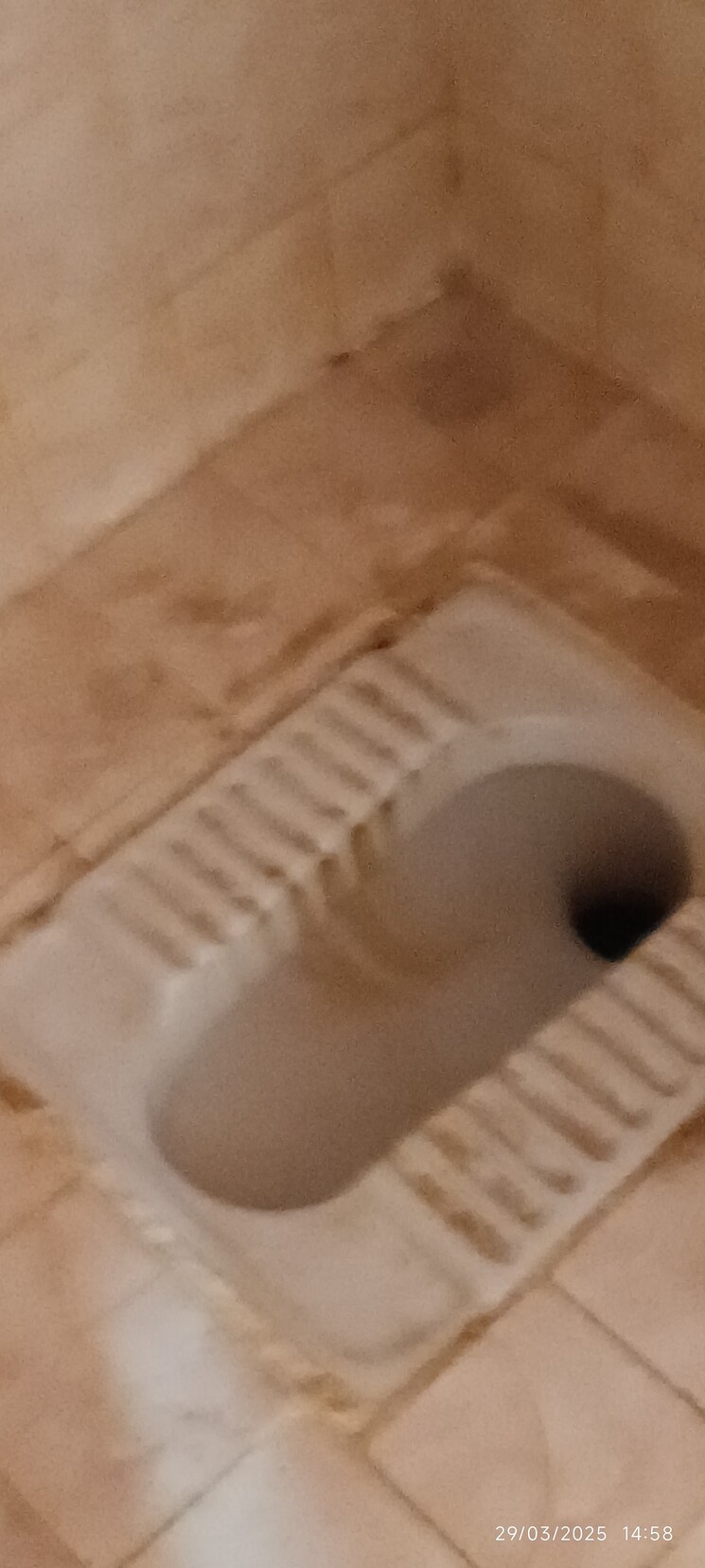 Attached Bathroom, seawoods sector 44 1 Bedroom 550 Sq.Ft. Apartment In Seawoods Sector 44 Navi Mumbai 8456236