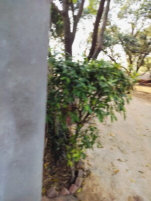  Plot – Exterior View View at Sector 107 - for Sale