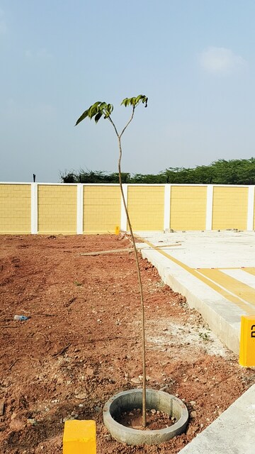  Plot – Exterior View View at Pudukkottai nh - for Sale