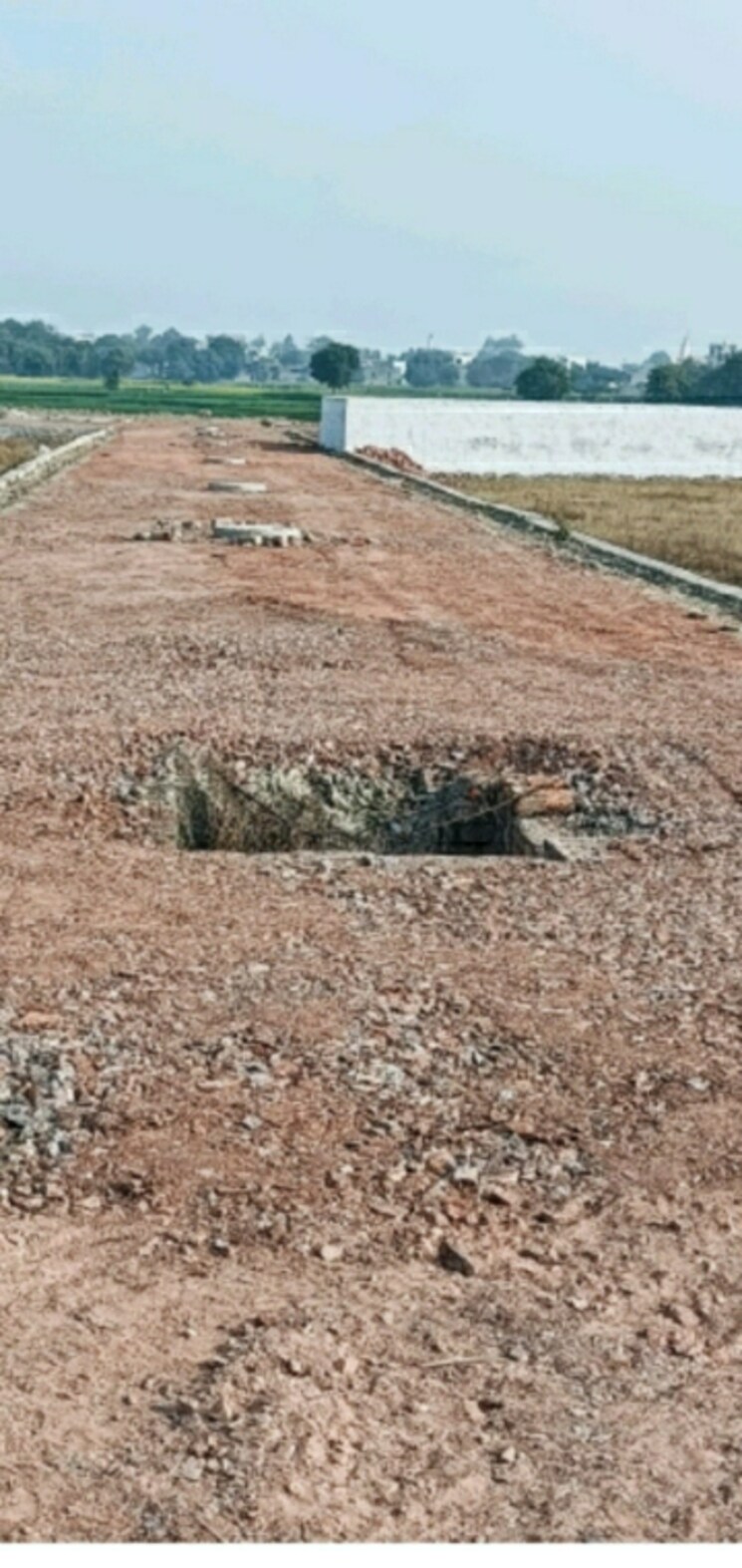 Garden, victory-ace  90 Sq.Yd. Plot In Sector 143 Noida 8456658