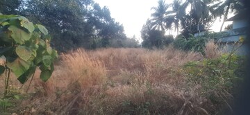  Plot For Sale in Varavoor