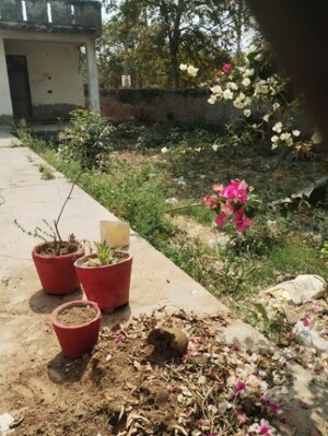 Kitchen in 1.5 BHK Independent House at Sector 46 – for Sale