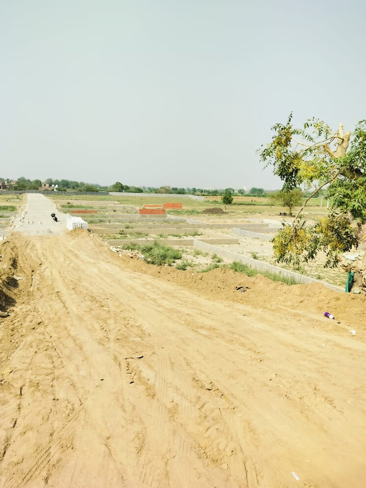 Garden, amarpur  500 Sq.Yd. Plot In Amarpur Palwal 8457187