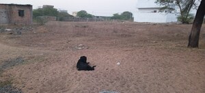  Plot – Exterior View View at Katol rd - for Sale