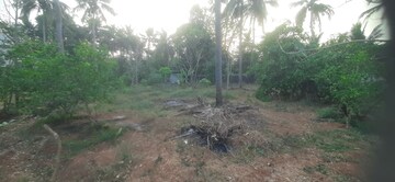 Plot Area in  Plot at Arimboor – for Sale