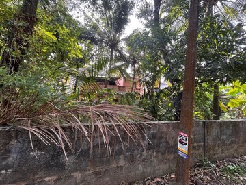  Plot For Sale in Punkunnam