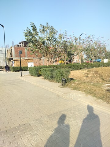  Plot For Sale in Sector 14