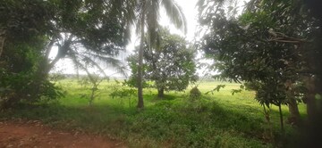  Plot For Sale in Mundoor