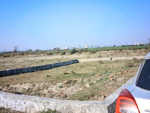  Plot For Sale in Sector 168