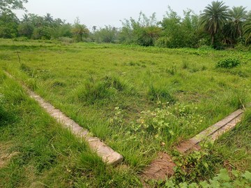  Plot – Exterior View View at Joka - for Sale