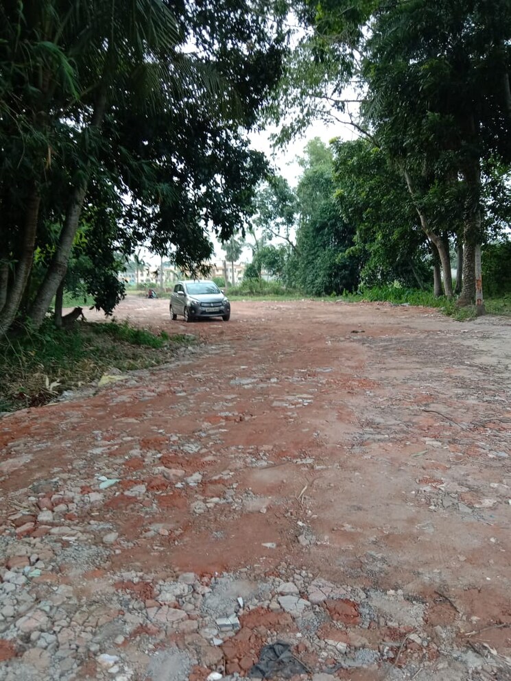 Garden, amtala baruipur road  2880 Sq.Ft. Plot In AmtalA Baruipur Road Kolkata 8458225