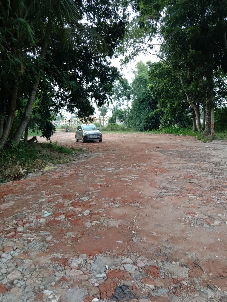 Garden, amtala baruipur road  2880 Sq.Ft. Plot In AmtalA Baruipur Road Kolkata 8458225