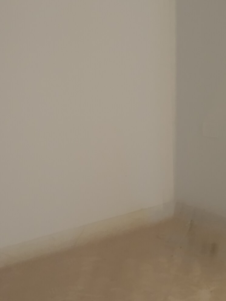 Room, shaheen bagh 3 Bedroom 900 Sq.Ft. Apartment In Shaheen Bagh Delhi 8458663