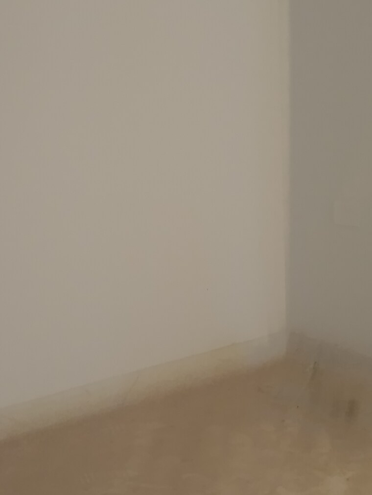 Room, shaheen bagh 3 Bedroom 900 Sq.Ft. Apartment In Shaheen Bagh Delhi 8458663