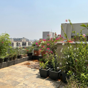 4 BHK Penthouse – Exterior View View at Satellite - for Sale