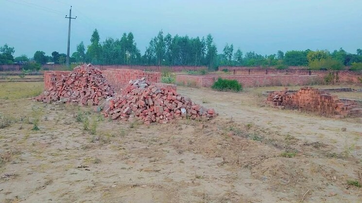 undefined, wazirganj  1000 Sq.Ft. Plot In Wazirganj Lucknow 8459456