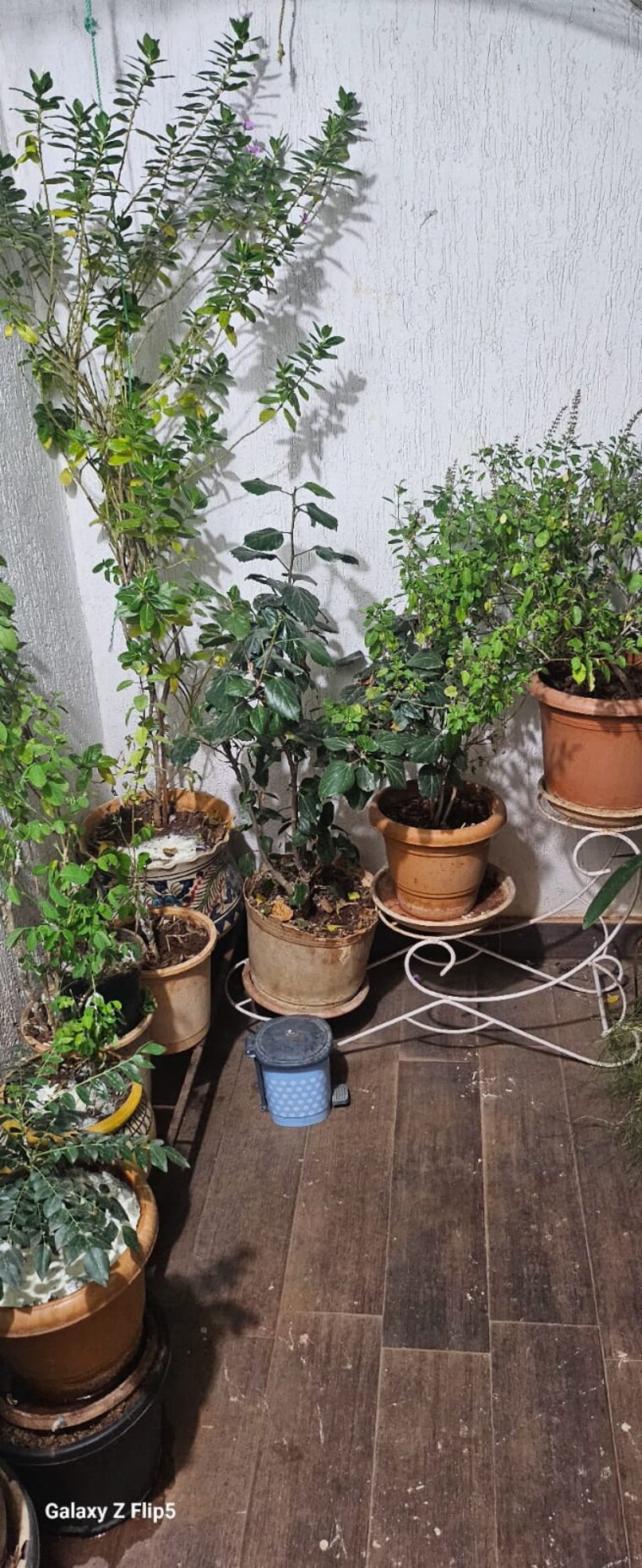 Master Plan, regency-cosmos 3 Bedroom 1550 Sq.Ft. Apartment In Baner Pune 8459505