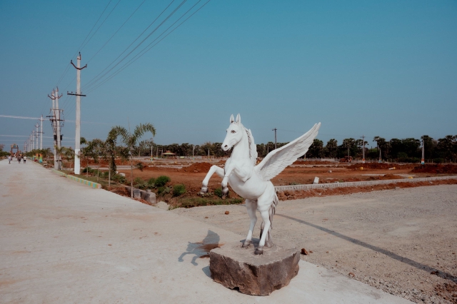 Plot For Sale in Vizianagaram Cantonment