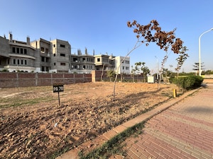 Plot Area in  Plot at BPTP Parkland Pride, Sector 77 – for Sale