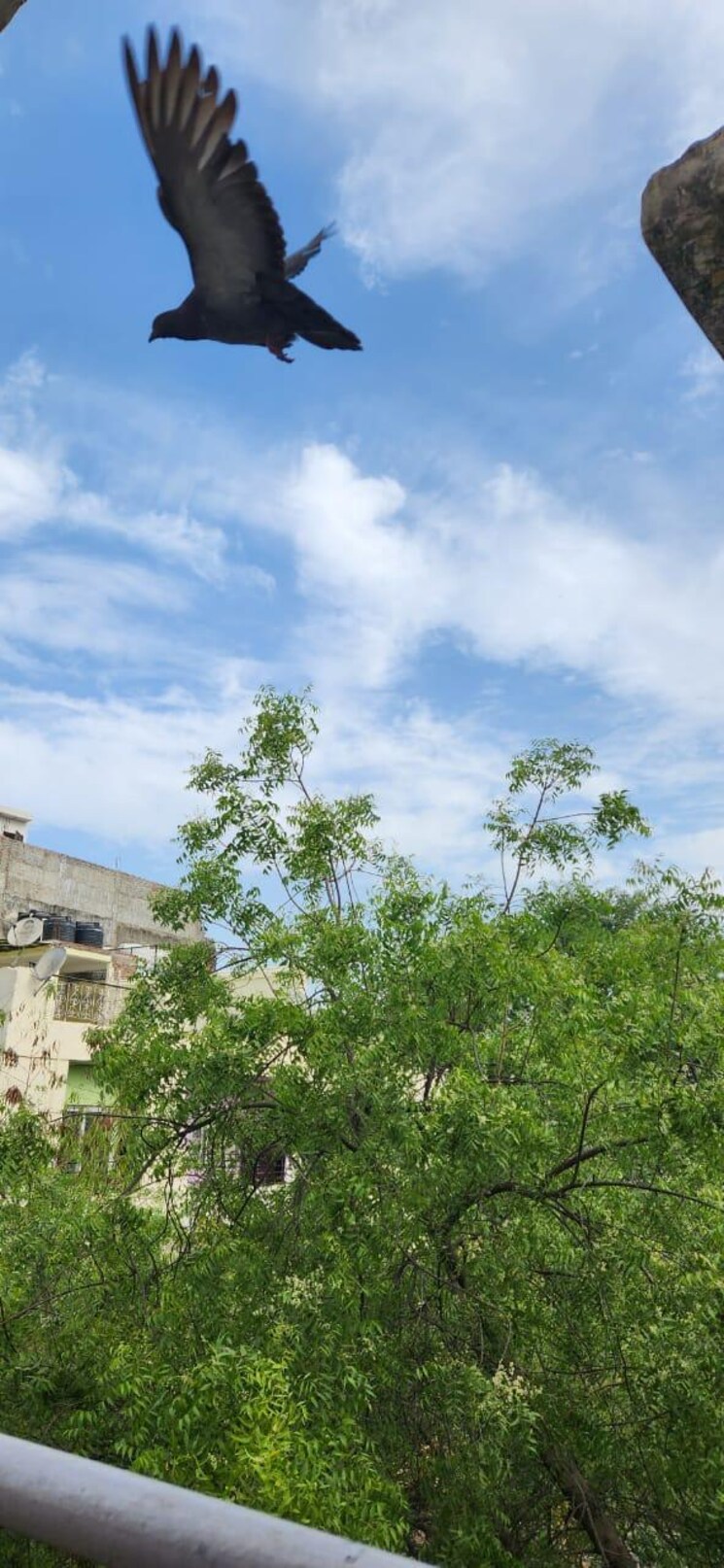 Living Room, new gupta colony 2 Bedroom 80 Sq.Yd. Builder Floor In New Gupta Colony Delhi 8460532