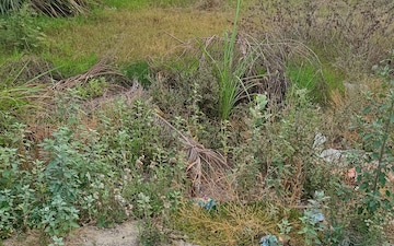 Plot For Sale in Partapur