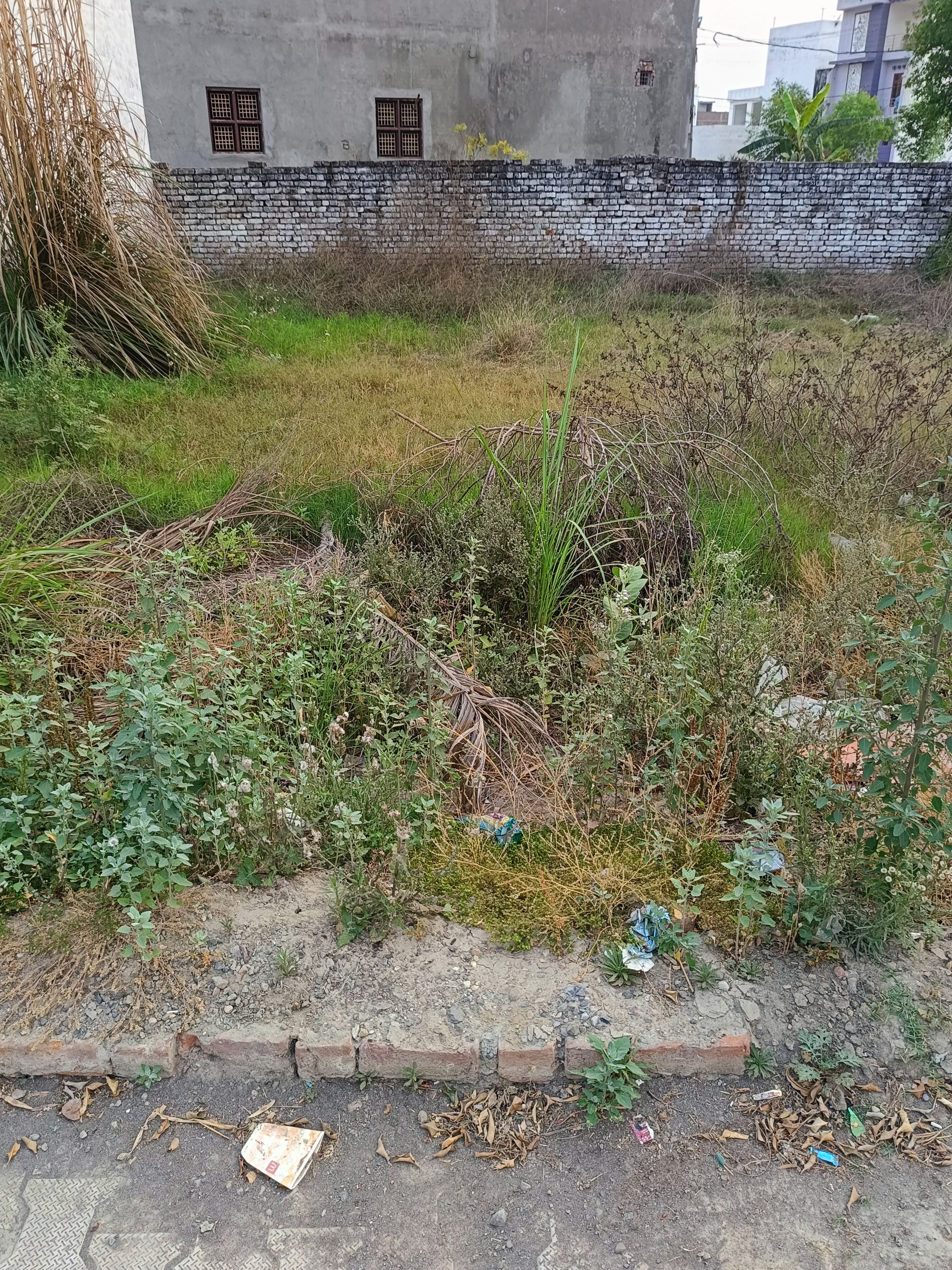 Plot For Sale in Partapur