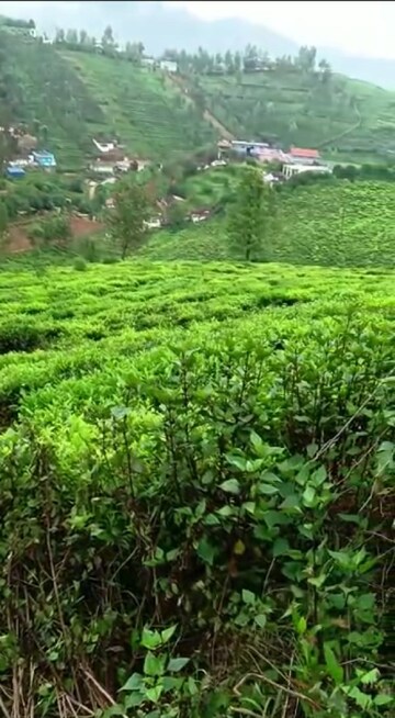  Plot For Sale in Ketti