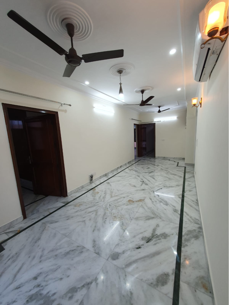 Room, boutique-residential-apartments-g-88 3 Bedroom 250 Sq.Yd. Builder Floor In Saket Delhi 8461581
