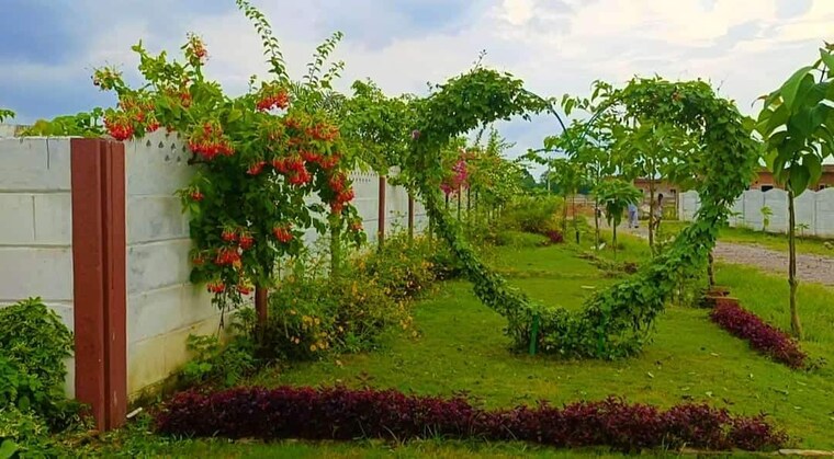 Exterior View, wazirganj  3000 Sq.Ft. Plot In Wazirganj Lucknow 8461731