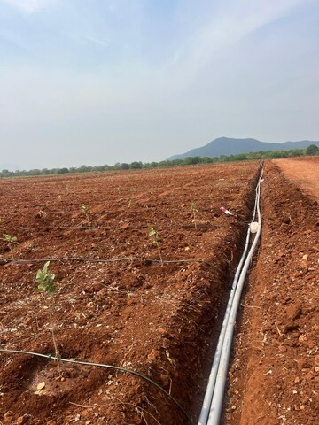  Plot For Sale in Shankarpalli