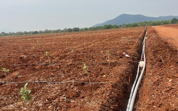 Plot For Sale in Shankarpalli