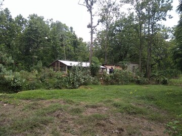  Land – Exterior View View at Bikna - for Sale