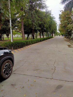  Plot For Sale in Sigma I Greater Noida