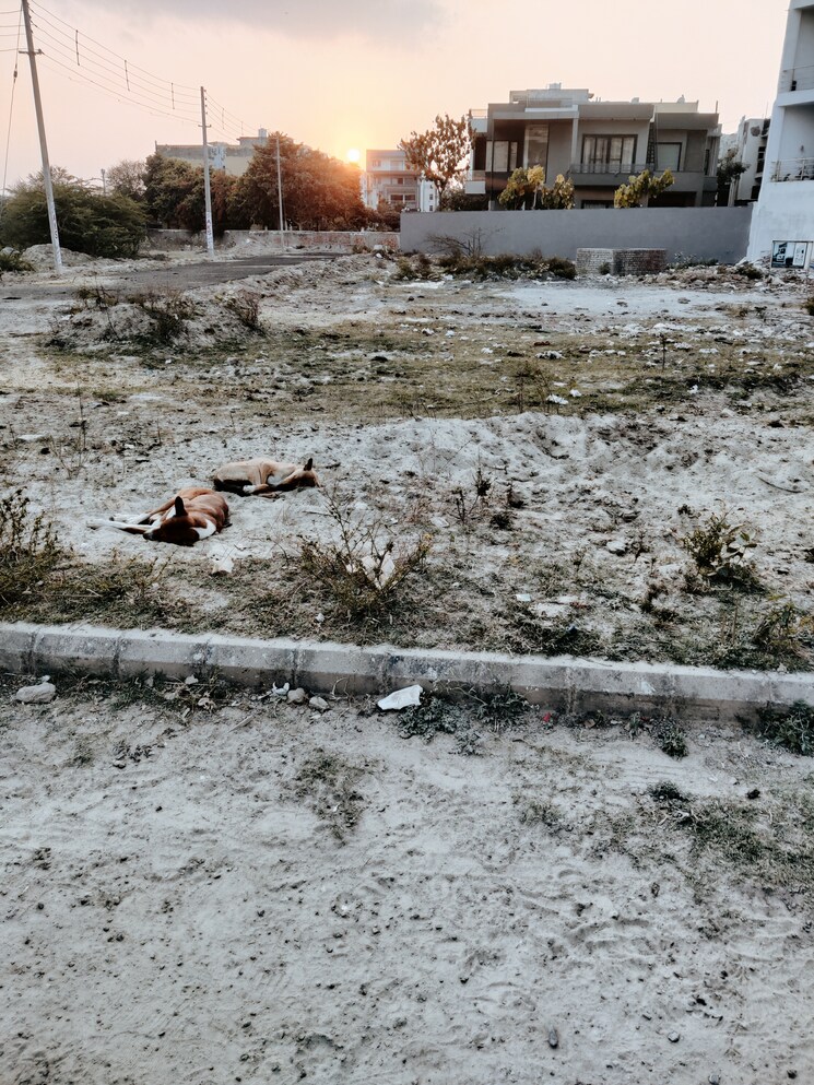 Garden, bptp-parkland  244 Sq.Yd. Plot In Sector 75 Faridabad 8462373