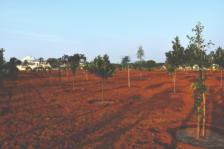 Garden, fortune-butterfly-city  200 Sq.Yd. Plot In Kadthal Hyderabad 8462365