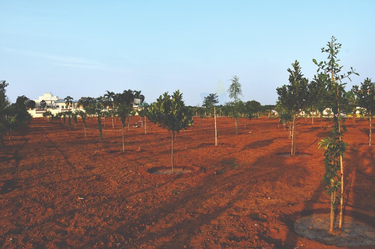 Garden, fortune-butterfly-city  200 Sq.Yd. Plot In Kadthal Hyderabad 8462365