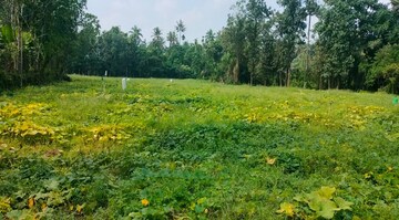 Plot Area in  Plot at Marathakkara – for Sale
