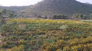  Land – Exterior View View at Banbeerpur - for Sale