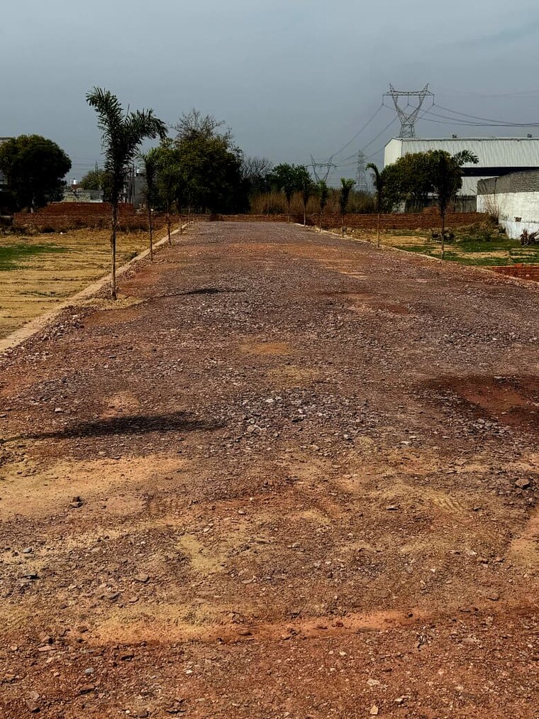 Garden, upsidc site b  100 Sq.Yd. Plot In Upsidc Site B Greater Noida 8464445