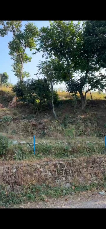  Plot – Garden View at Morni - for Sale