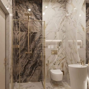 Attached Bathroom in 1 BHK Apartment at Tricity Luxuria, Panvel Sector 18 – for Sale