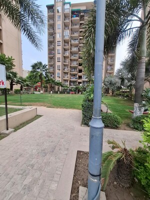 Living Room in 3 BHK Apartment at Tulip White, Sector 69 – for Sale