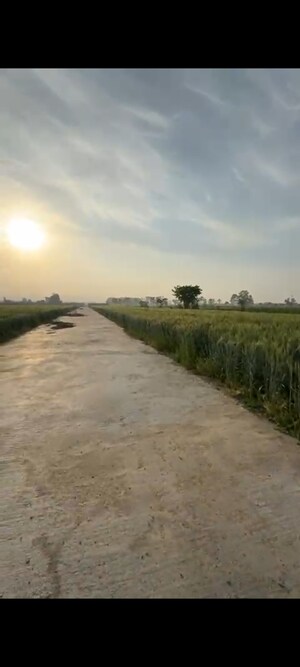  Plot For Sale in Resham Majri Grant