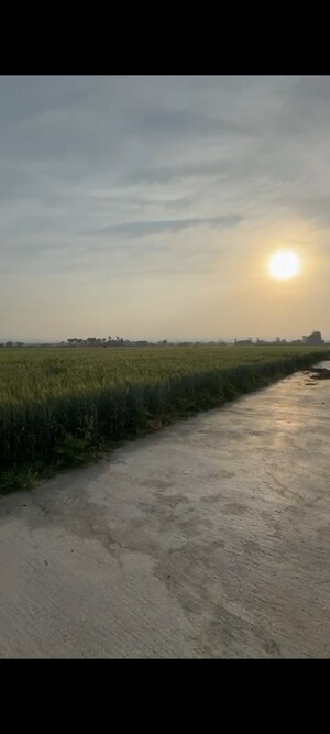  Plot – Garden View at Resham Majri Grant - for Sale