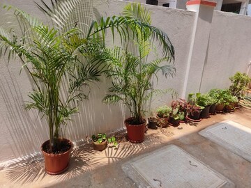 2 BHK Builder Floor – Map Location View at Saligao - for Rent