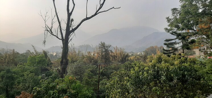 Garden, uk-the-solitaire-avenue 4 Bedroom 4500 Sq.Ft. Penthouse In Malsi Dehradun 8466226