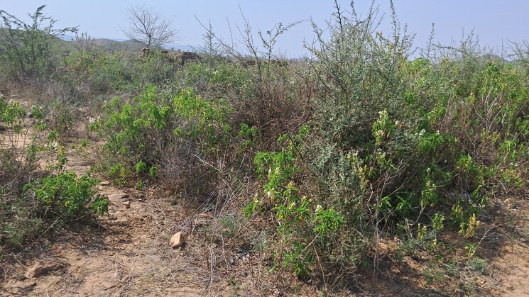 Exterior View, tulera Commercial Land 15 Acre In Tulera Alwar 8466513