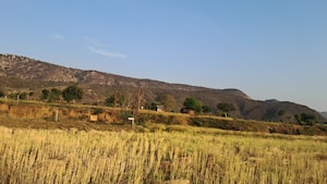  Land – Exterior View View at Bakhtpura - for Sale